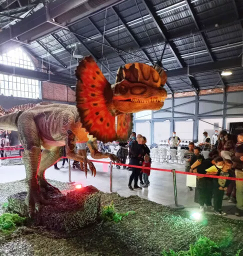 exposition de dinosaures à la halle de la courrouze