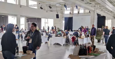 Des stands pour un salon professionnel du vin bio à la halle de la brasserie